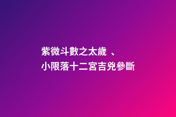 紫微斗數之太歲、小限落十二宮吉兇參斷